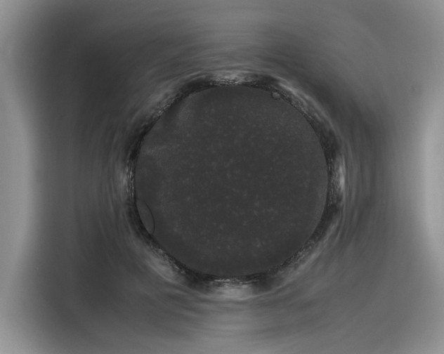 X0000116120601200911301328