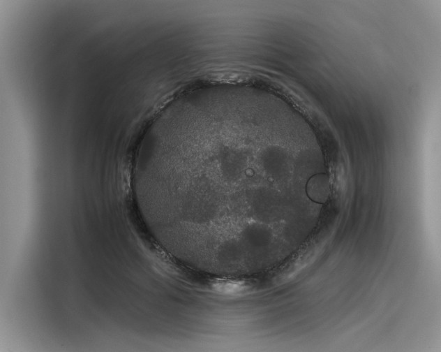 X0000116120602200911301328