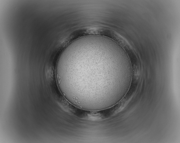 X0000116120603200911301328