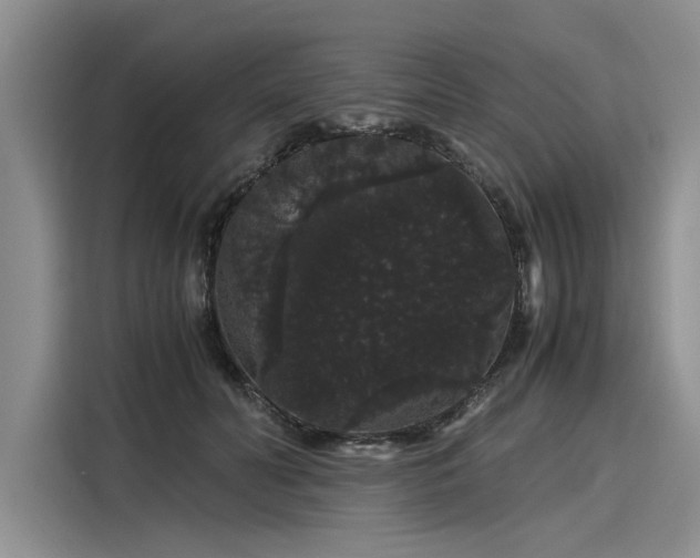 X0000116120606200911301328