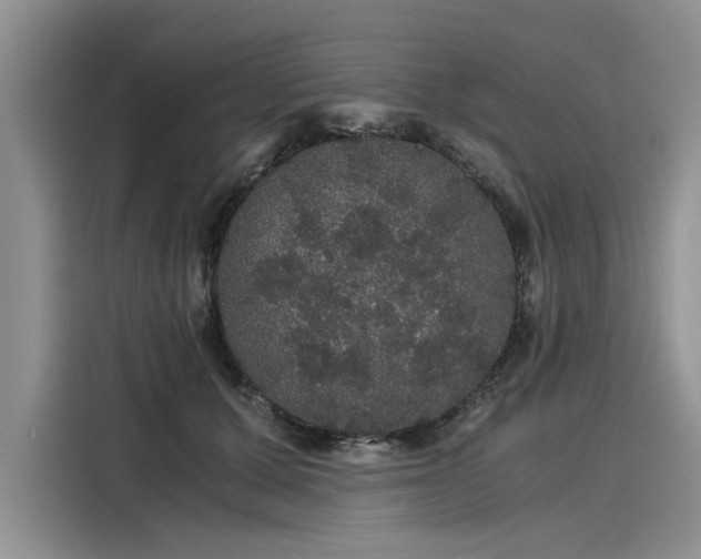 X0000116120607200911301328