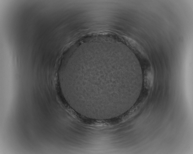 X0000116120608200911301328