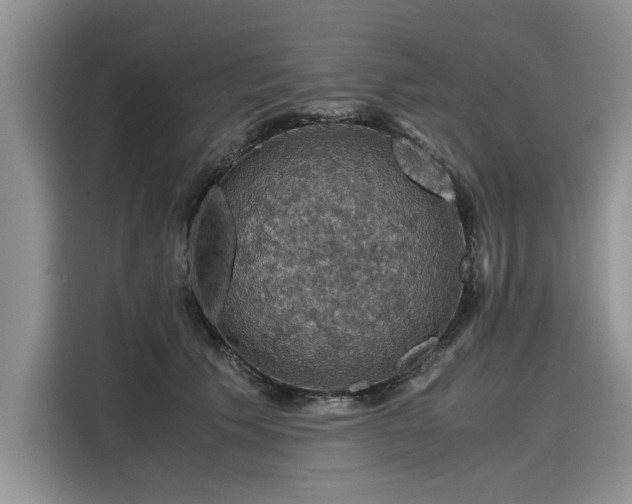 X0000116120609200911301328