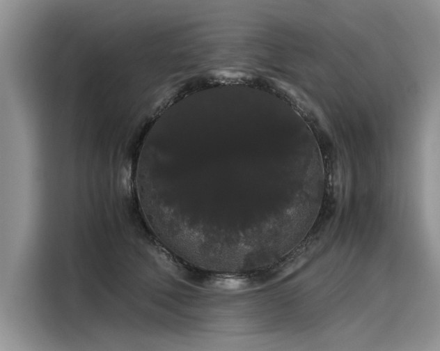 X0000116120610200911301328