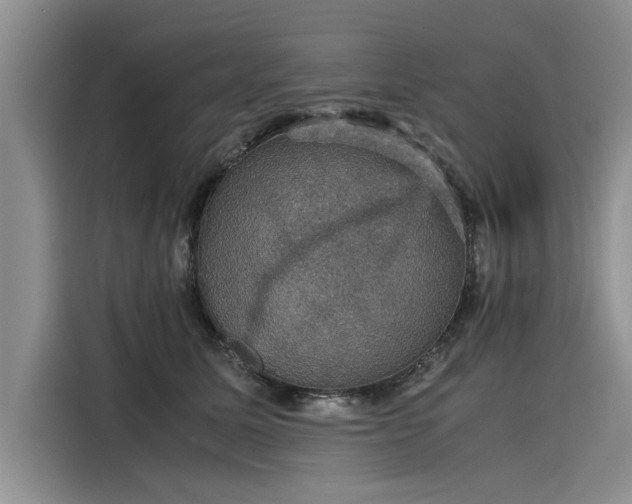 X0000116120611200911301328