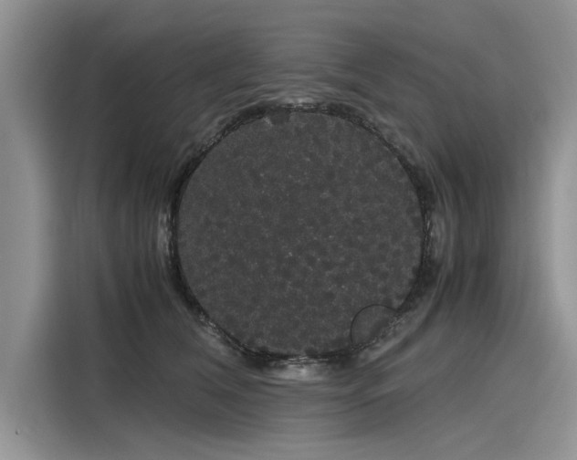 X0000116120612200911301328