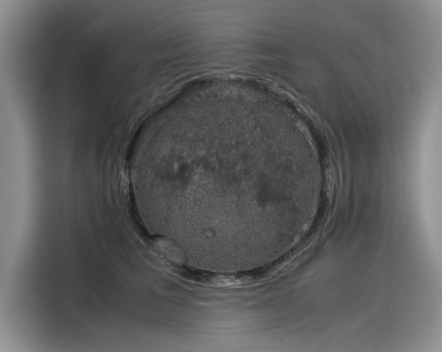 X0000116120613200911301328