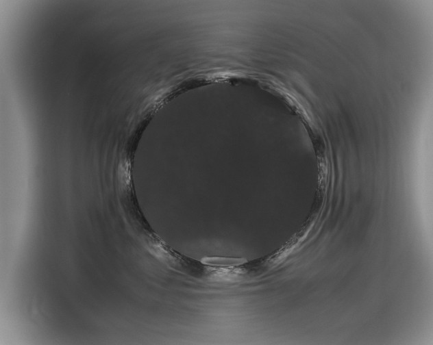 X0000116120621200911301328