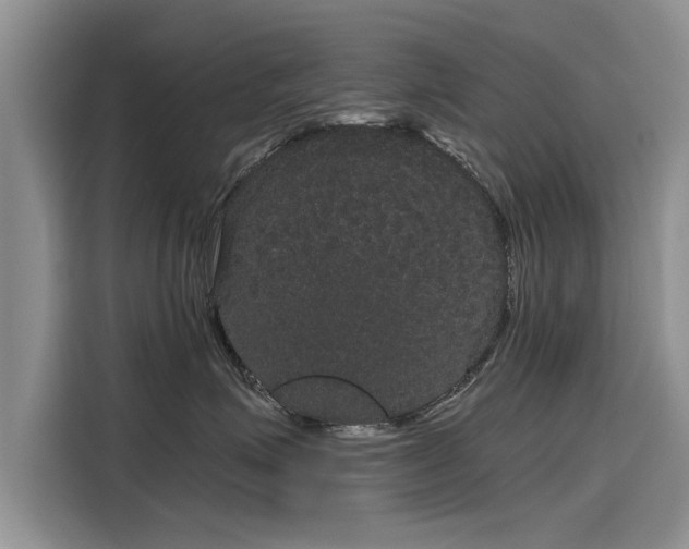 X0000116120623200911301328