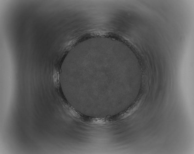 X0000116120624200911301328