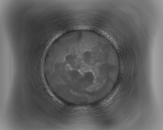 X0000116120625200911301327