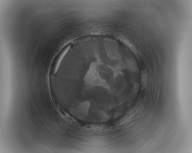 X0000116120626200911301327