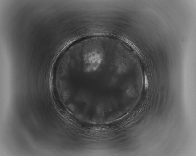 X0000116120627200911301327