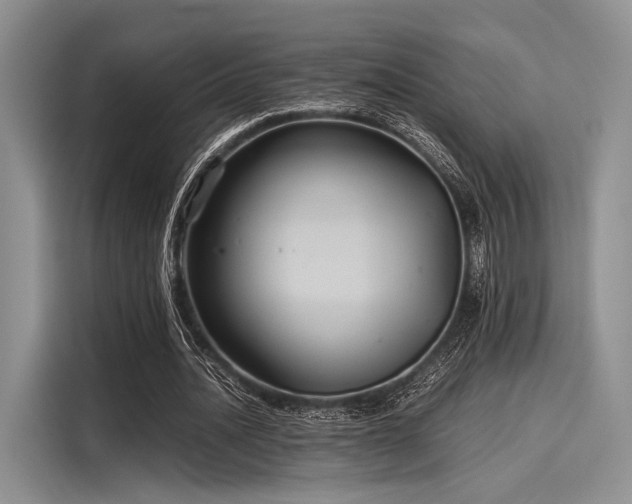 X0000116120628200911301327