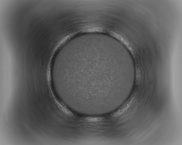 X0000116120629200911301327