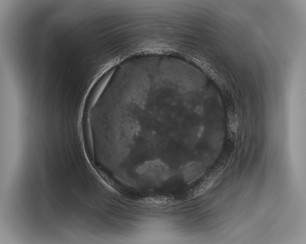 X0000116120630200911301328