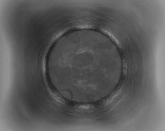 X0000116120631200911301328