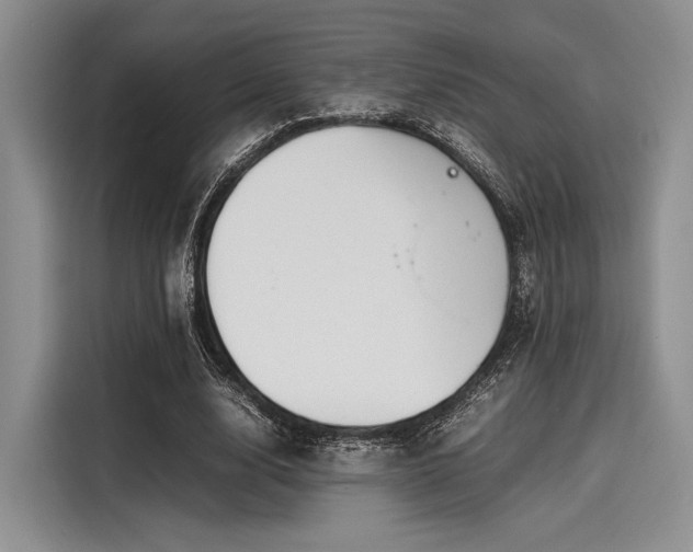 X0000116120632200911301328