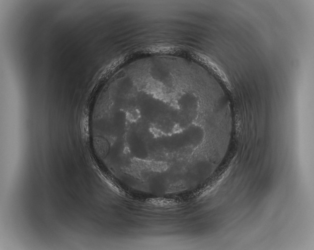 X0000116120633200911301328