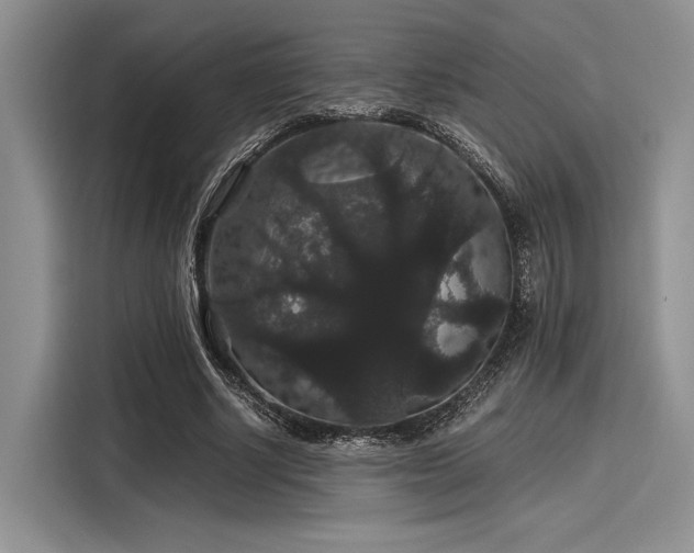 X0000116120634200911301328