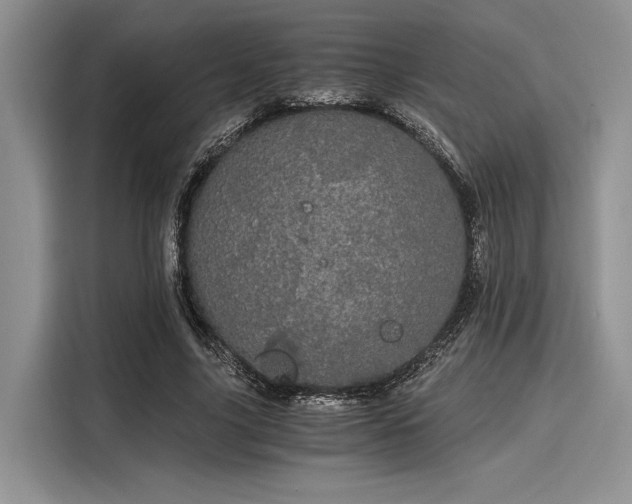 X0000116120635200911301328