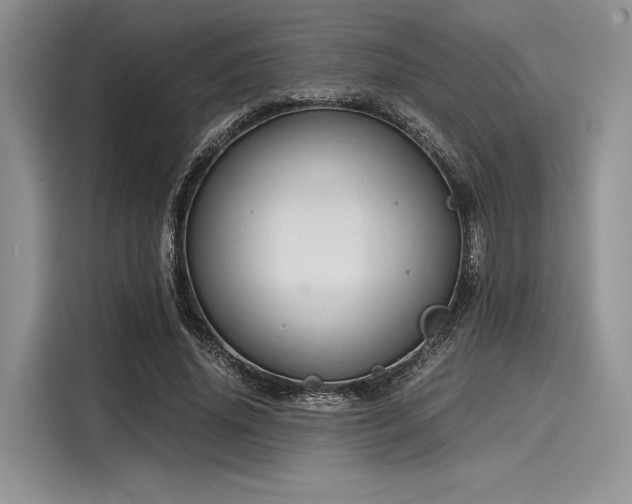 X0000116120636200911301328