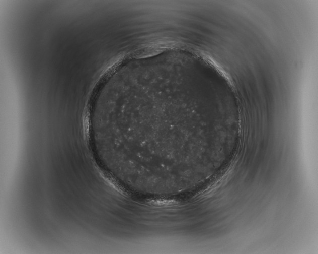 X0000116120637200911301328