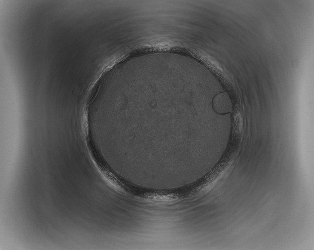 X0000116120638200911301328