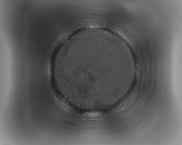 X0000116120639200911301328