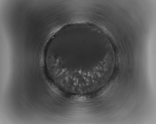 X0000116120640200911301328