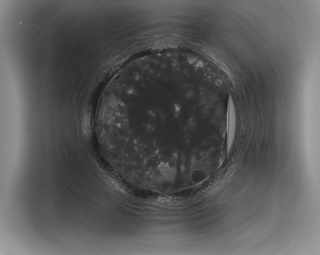 X0000116120641200911301328