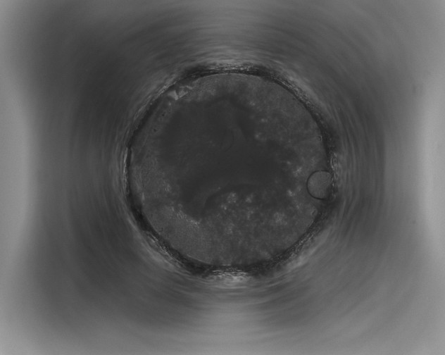 X0000116120642200911301328