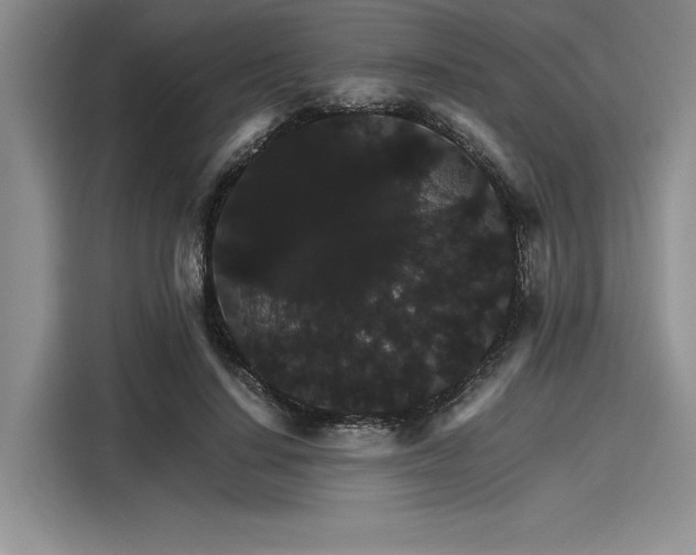 X0000116120644200911301328