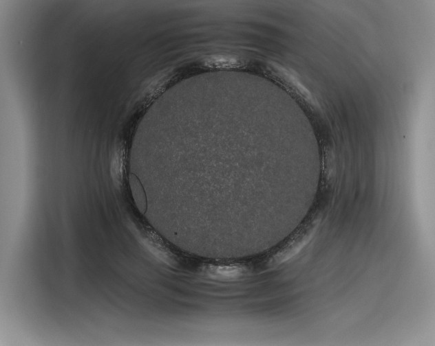 X0000116120645200911301328