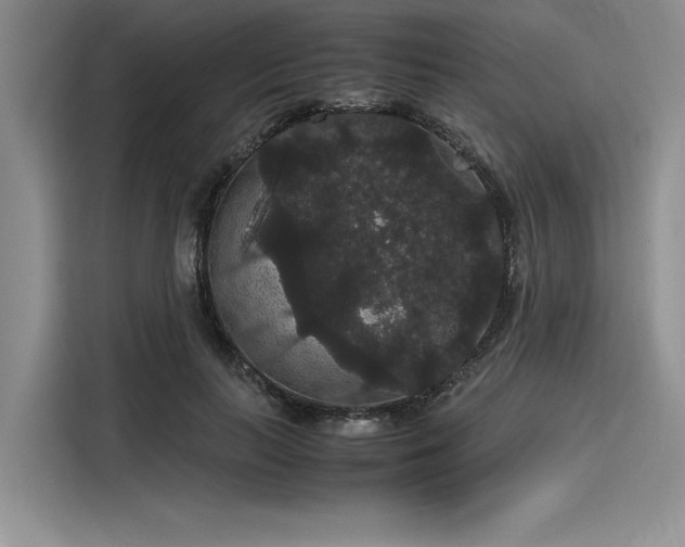 X0000116120647200911301328