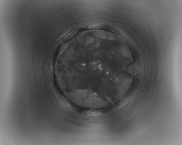 X0000116120648200911301328