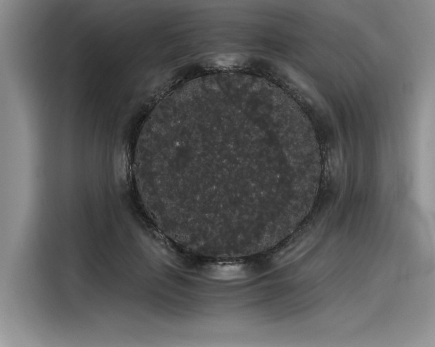 X0000116120651200911301328