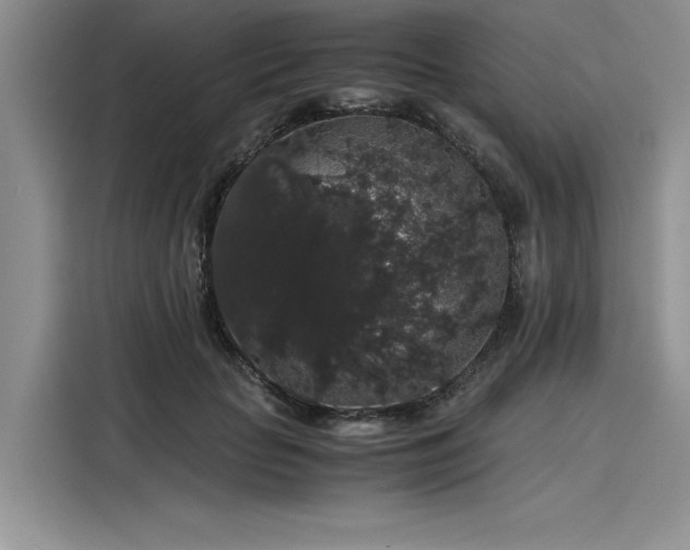 X0000116120653200911301328