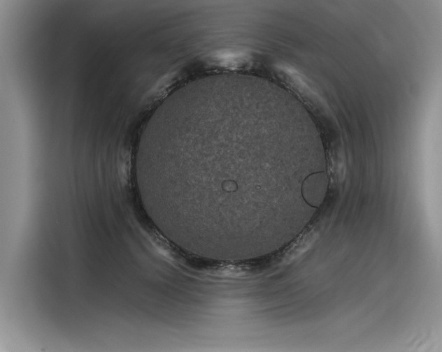 X0000116120656200911301328