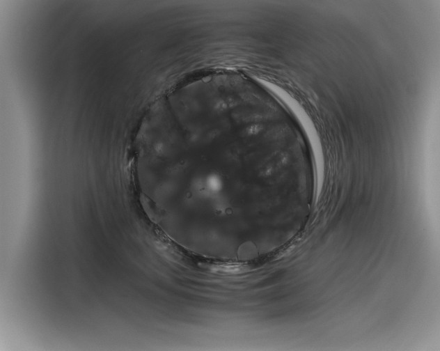 X0000116120659200911301328