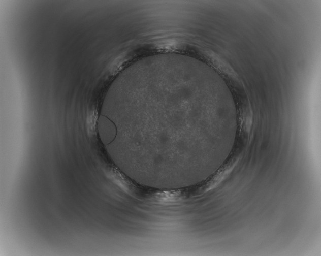 X0000116120660200911301328