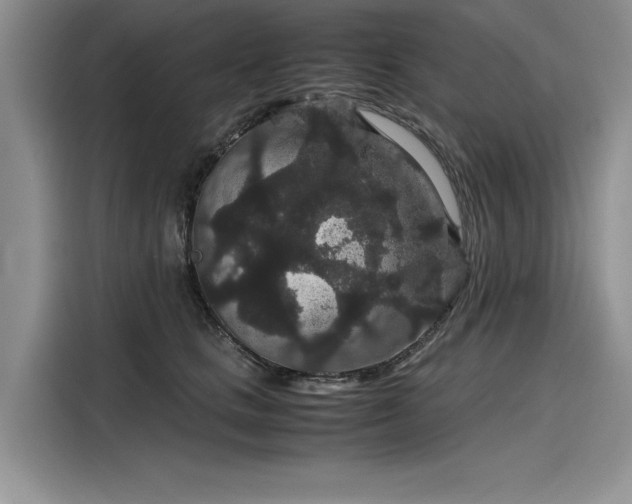 X0000116120661200911301328