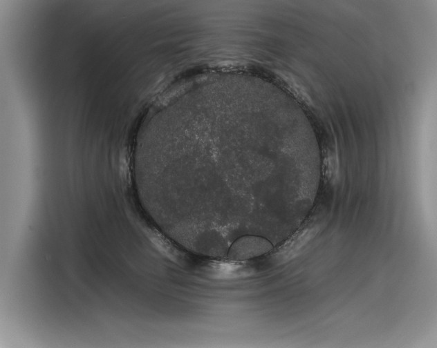 X0000116120662200911301328