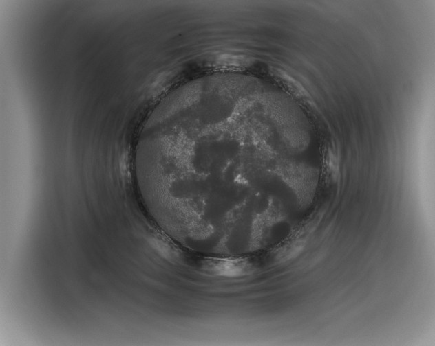 X0000116120663200911301328