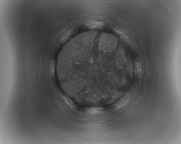 X0000116120664200911301328