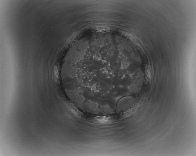 X0000116120667200911301328