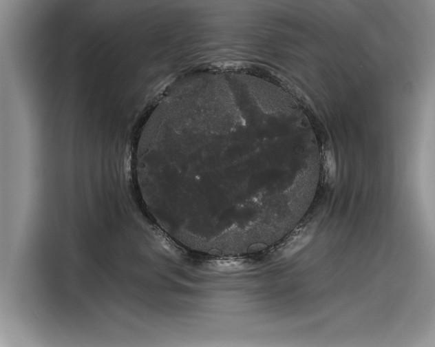 X0000116120668200911301328