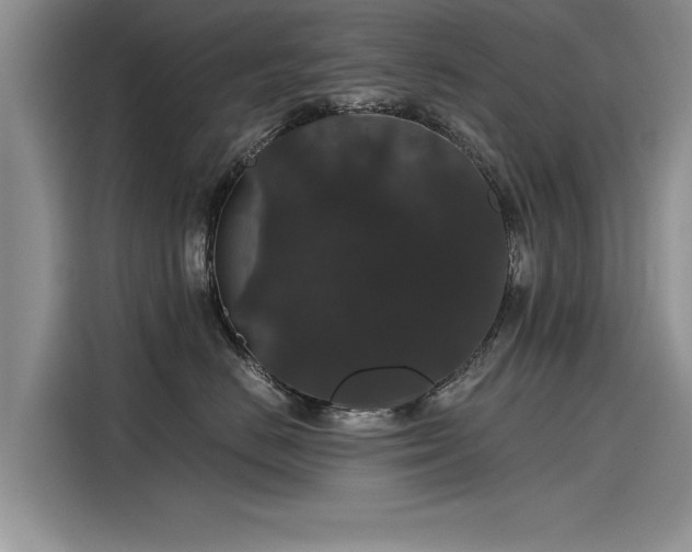 X0000116120670200911301328