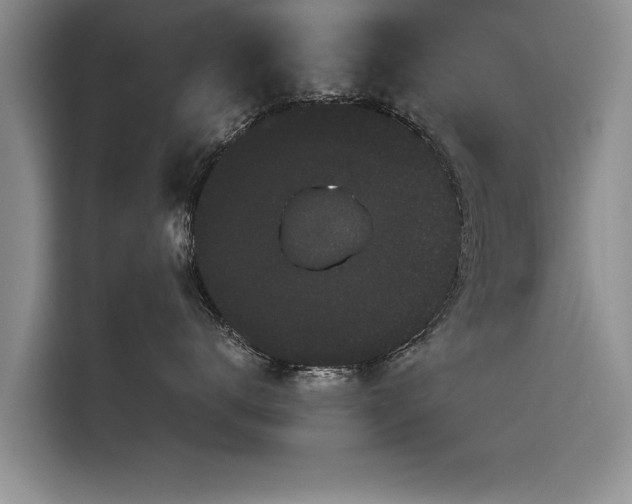 X0000116120672200911301328