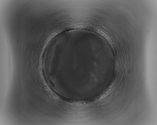 X0000116120673200911301327